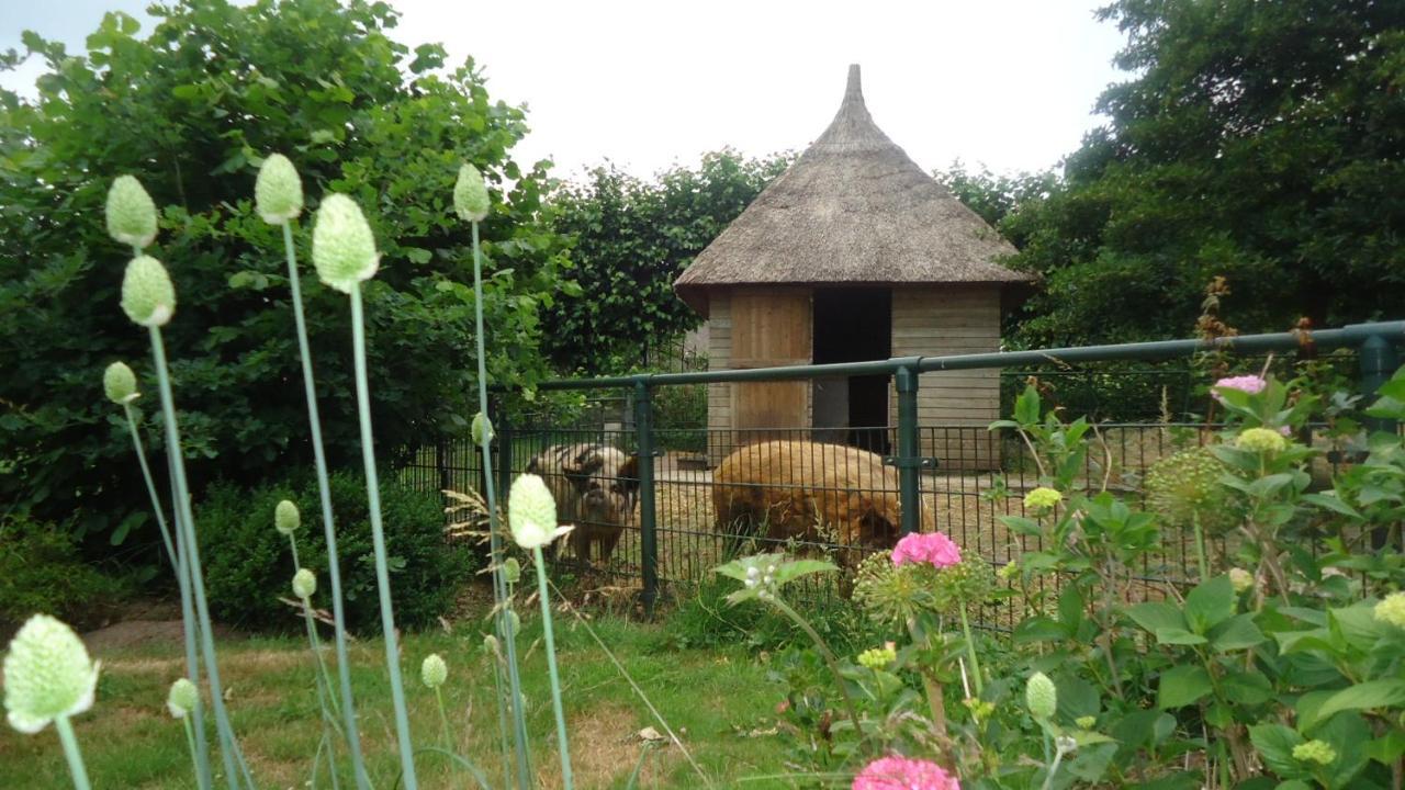 Bed and Breakfast Klein Vreugderijk Zwolle  Exteriér fotografie